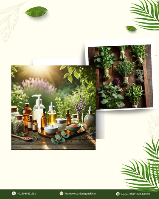 PROMAX ORGANICS